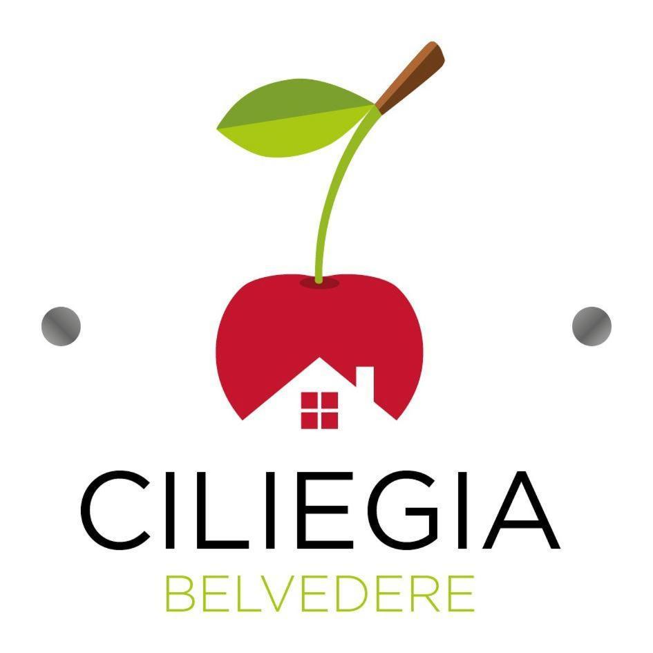 Villa Ciliegia Di Lari - Attico Extérieur photo